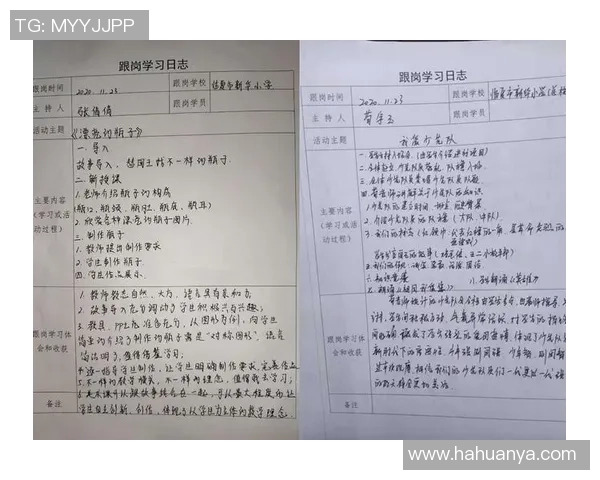 陈娜独家分享排球心得与技巧助你提升球技的秘诀与经验