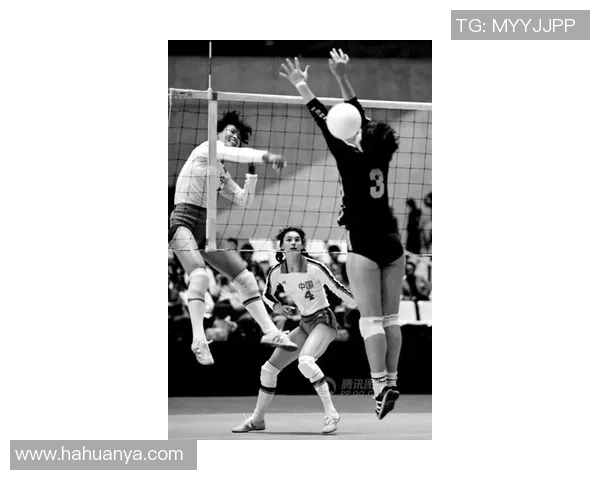 杭州排球队在冠军赛中的技术亮点与不足分析